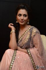 Madhu Shalini at Cheekati Raajyam Movie Success Meet